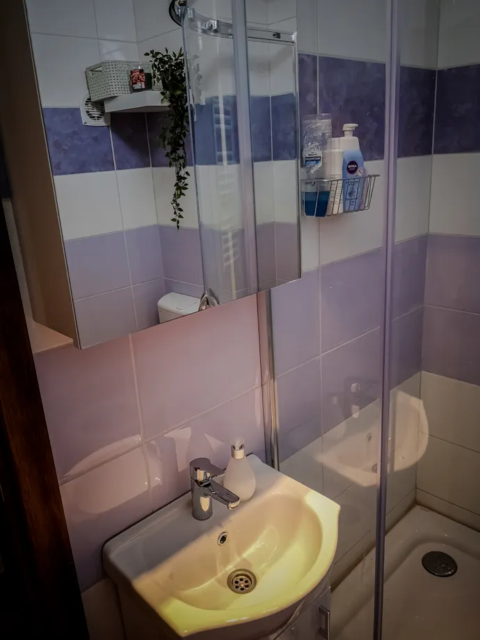 Lavabo sa ogledalom i tuš kabina