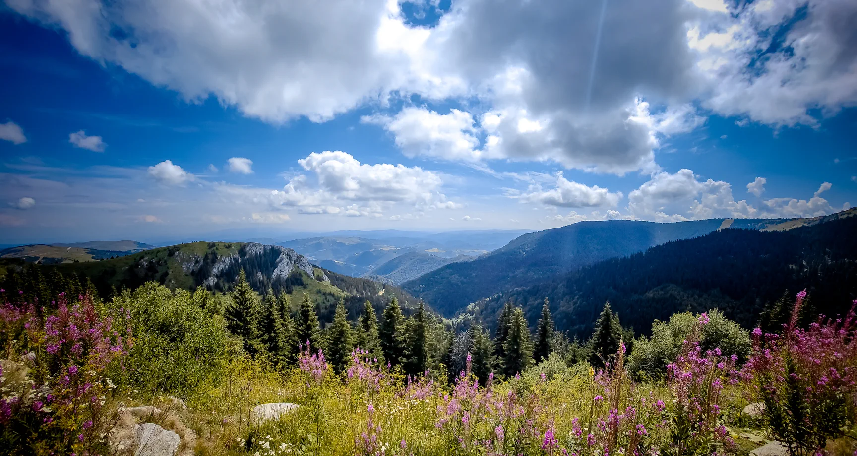 Pogled sa vidikovca na Kopaoniku leti